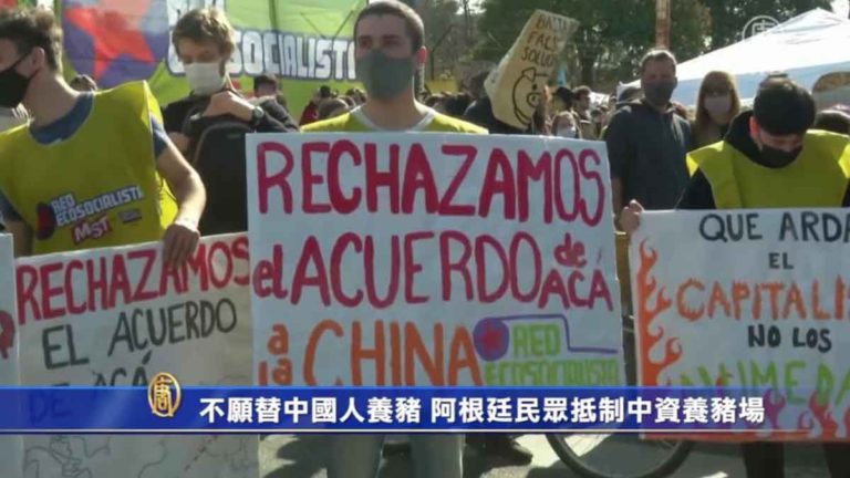Khawatir Akan Menyebabkan Pencemaran Lingkungan, Warga Argentina Memboikot Peternakan Babi yang Didanai Tiongkok