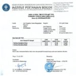 Harimau COVID-19