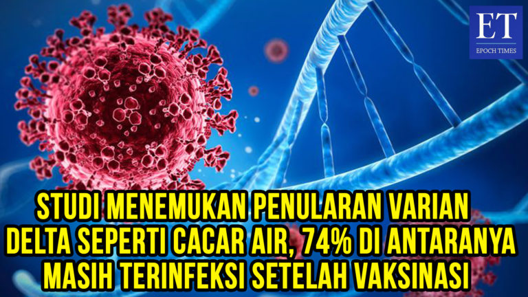 Studi Menemukan Penularan Varian Delta Seperti Cacar Air, 74% di Antaranya Masih Terinfeksi Sete….