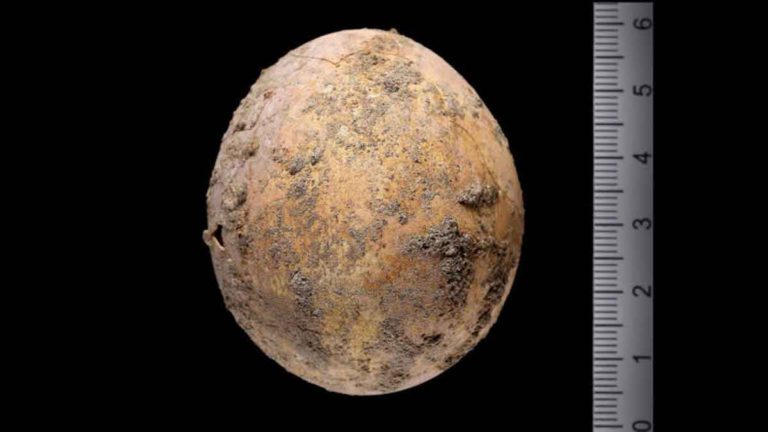 Arkeolog Terkejut Temukan Telur Ayam Utuh Berusia 1.000 Tahun dari Zaman Byzantium Saat Penggalian di Israel