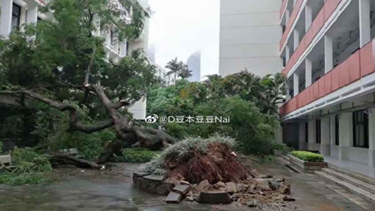 Topan Lupit Berbelok Arah Menghindari Taiwan Langsung Menyapu Pesisir Provinsi Zhejiang, Fujian, Guangdong, Tiongkok