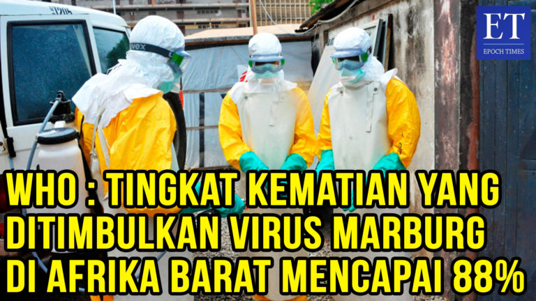 WHO : Tingkat Kematian yang Ditimbulkan Virus Marburg di Afrika Barat Mencapai 88%