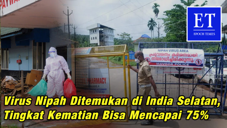 Virus Nipah Ditemukan di India Selatan, Tingkat Kematian Bisa Mencapai 75%