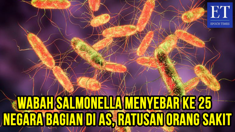 Wabah Salmonella Menyebar ke 25 Negara Bagian di AS, Ratusan Orang Sakit