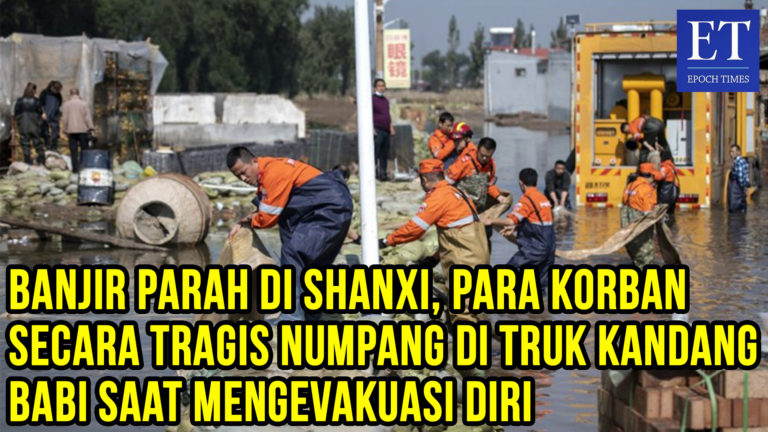 Banjir Parah di Shanxi, Para Korban Tragis Numpang di Truk Kandang Babi Saat Mengevakuasi Diri