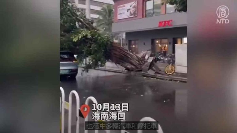 Topan Kompasu Mendarat di Hainan, Tiongkok Hingga Sekolah Ditutup
