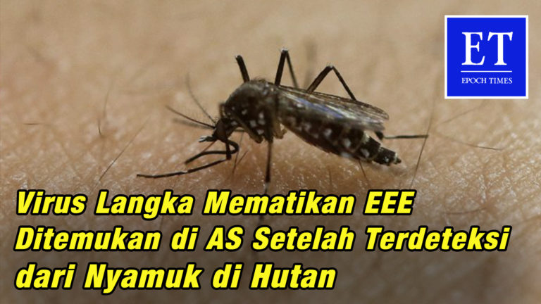 Virus Langka Mematikan EEE Ditemukan di AS Setelah Terdeteksi dari Nyamuk di Hutan