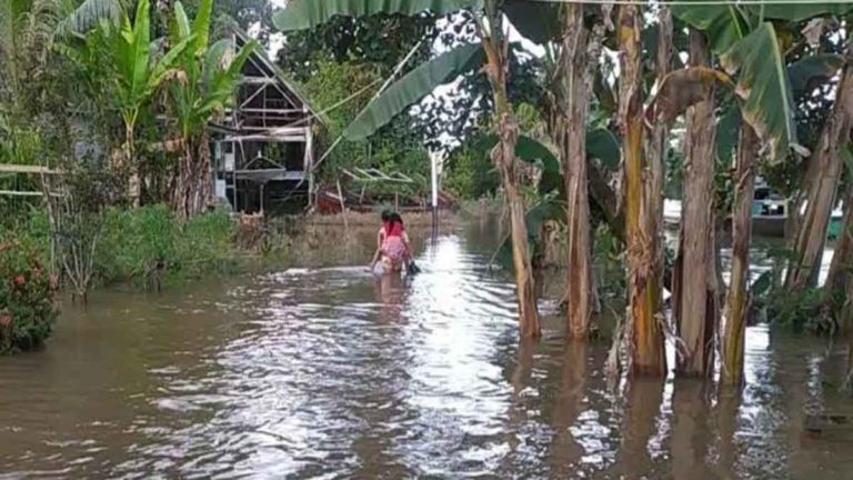Sungai Pawan Meluap, 13 Desa Terendam Banjir di Ketapang, Kalimantan Barat
