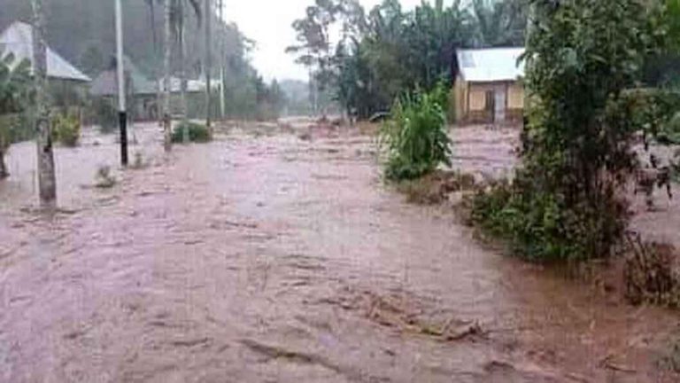 Banjir Merendam 7 Hektar Sawah Warga  di Alor Selatan, NTT, Kini Mulai Berangsur Surut