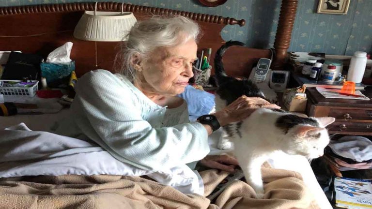 Nenek Berusia 101 Tahun Mengadopsi Kucing Berusia 19 Tahun untuk Menghabiskan Hari-Hari Terakhir Secara Bersama