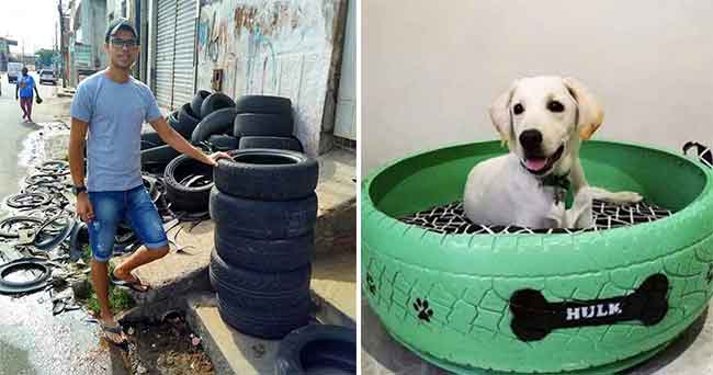 Pria Mengubah Ban Tua Menjadi Tempat Tidur yang Nyaman dan Indah untuk Anjing dan Kucing Liar di Brasil