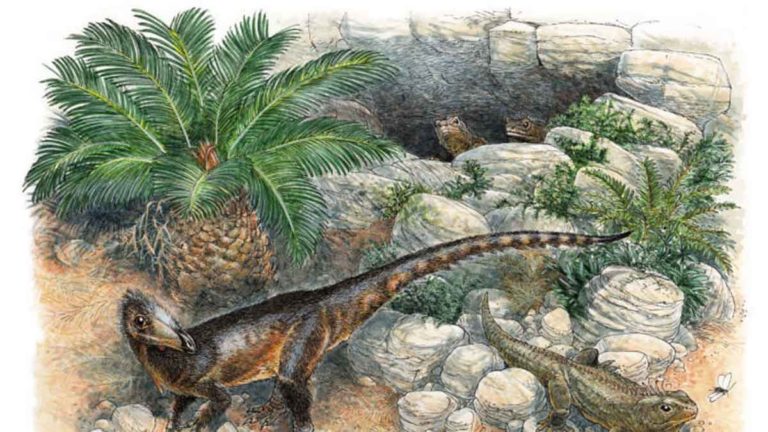 Dinosaurus Pemakan Daging Berukuran Kecil Berhasil Diidentiﬁkasi Setelah salah Dikenali selama 40 Tahun Pasca Ditemukan