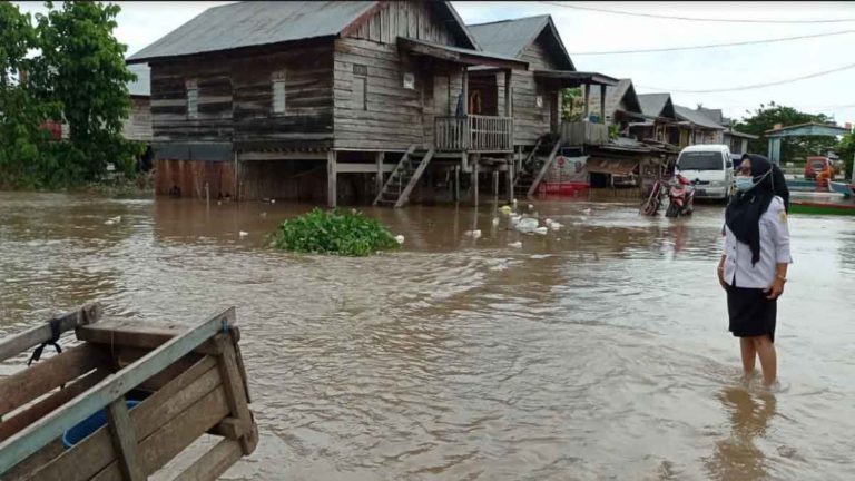 Banjir di Sidenreng Rappang, Sulsel, Ratusan Rumah Masih Terendam