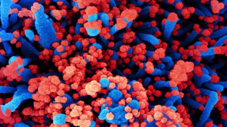 Hasil Studi Menunjukkan Vaksin Buatan Tiongkok Gagal Menetralkan Omicron, Pfizer Hanya Efektif 20%