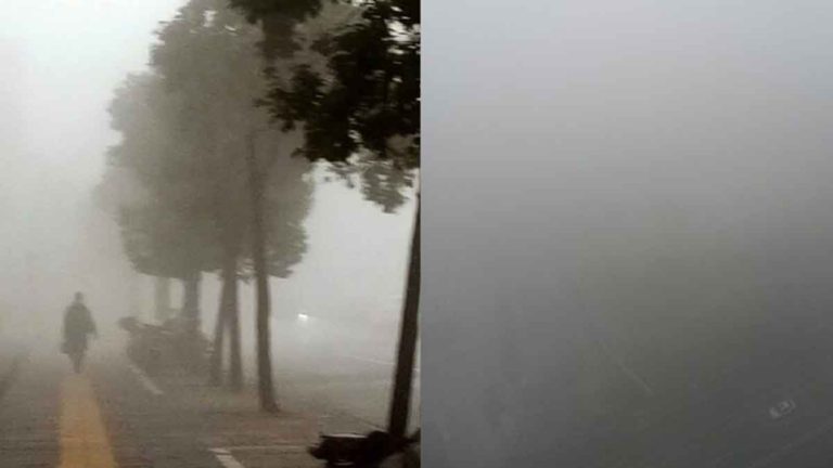 Shanghai Kewalahan Gara-gara Berkabut Sehingga Berdampak Terhadap Transportasi, Penerbangan Dibatalkan Hingga Banyak Jalan Raya Ditutup
