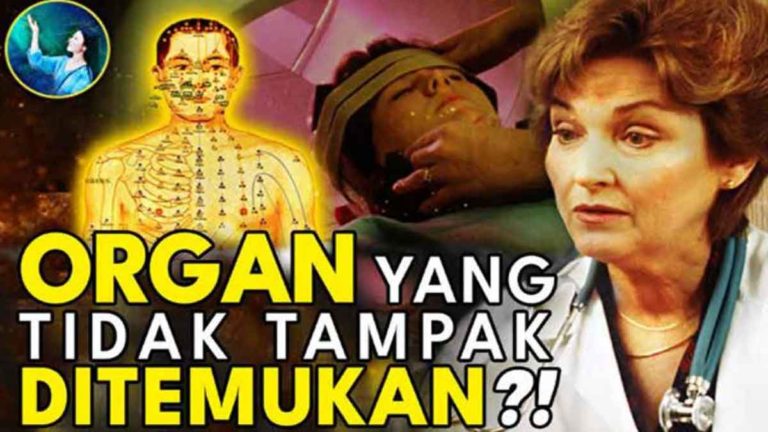 Menemukan Organ yang Tidak Tampak?!