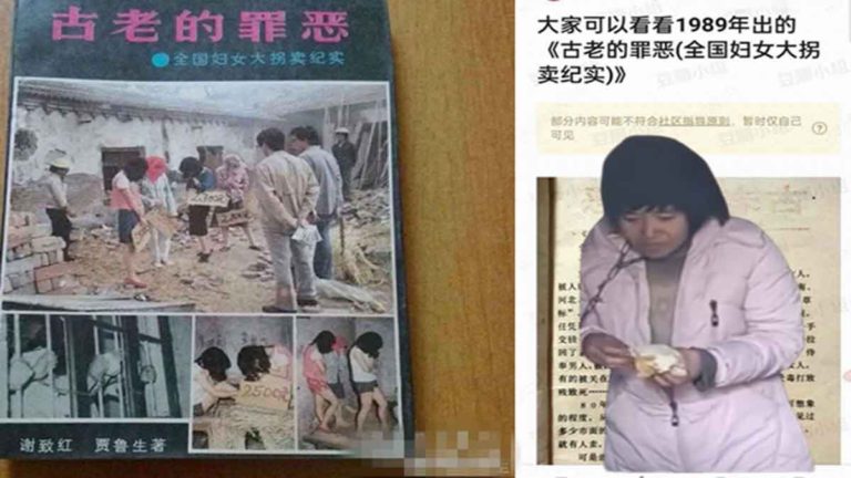Para Seniman Daratan Tiongkok  Mendukung Penyelidikan Insiden Wanita 8 Anak Dirantai Lehernya