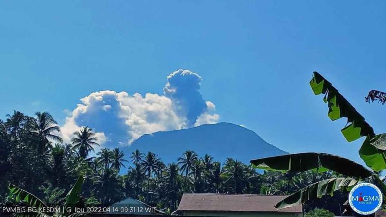 Gunung Ibu Erupsi, Muntahan Kolom Abu  Setinggi 800 Meter