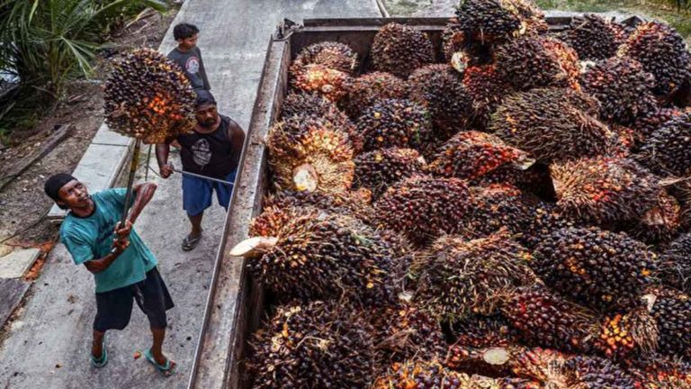 Malaysia Ancam Hentikan Ekspor Minyak Kelapa Sawit ke Eropa Setelah Pembatasan Baru