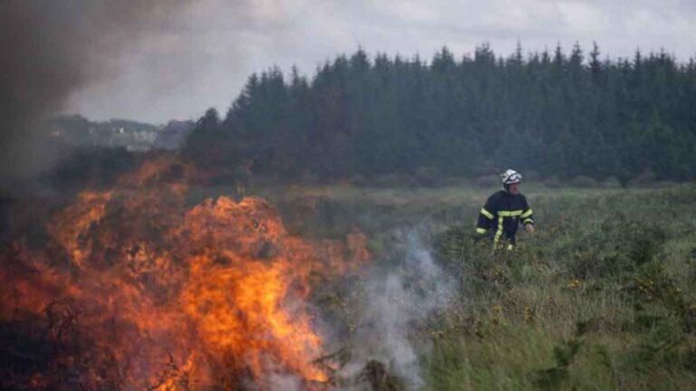 Gelombang Panas Eropa Memicu Kebakaran Hutan Termasuk Perkemahan, Perkebunan, Peternakan Hingga Pertanian