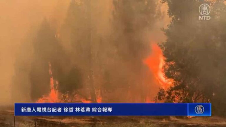 Kebakaran Hutan California Mendekati Taman Nasional Yosemite, 6.000 Orang Dievakuasi