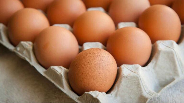 Harga Telur Semakin Mahal, Pemerintah Lakukan Hal Ini