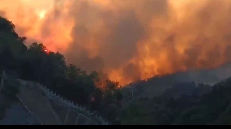 Kebakaran Gunung Melanda di Distrik Banan, Kota Chongqing, Tiongkok,  Angin Membantu Kobaran Api Mendekati Daerah Perkotaan