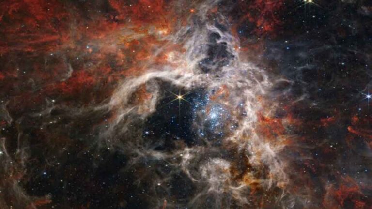 Teleskop Luar Angkasa James Webb Tangkap Bintang Muda di Nebula Tarantula, Sebelumnya Tertutup Debu Kosmik