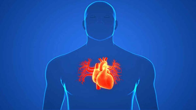 Masalah Jantung bisa Sembuh dalam 1 Bulan? Studi Harvard: Meridian Perikardial Mungkin Eksis