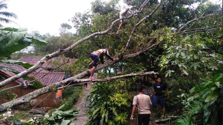 Angin Puting Beliung Menerjang Lima Desa di Sukabumi, 100 Lebih Rumah Rusak Ringan