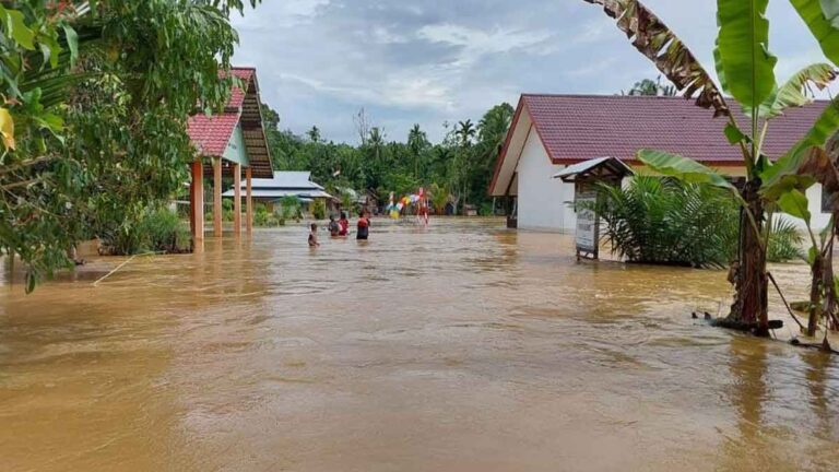 12 Kecamatan di Sintang, Kalimantan Barat Dilanda Banjir, 35.000 Warga Terdampak