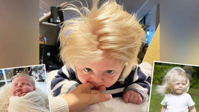 Viral, Bayi Lahir dengan Rambut Pirang Penuh Floppy Menjadi ‘Superstar Cilik’