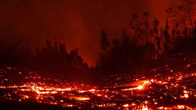 <strong>Gelombang Panas Sebabkan Kebakaran Hebat Hutan di Chili, Sedikitnya 22 Tewas dan 554 Terluka</strong>
