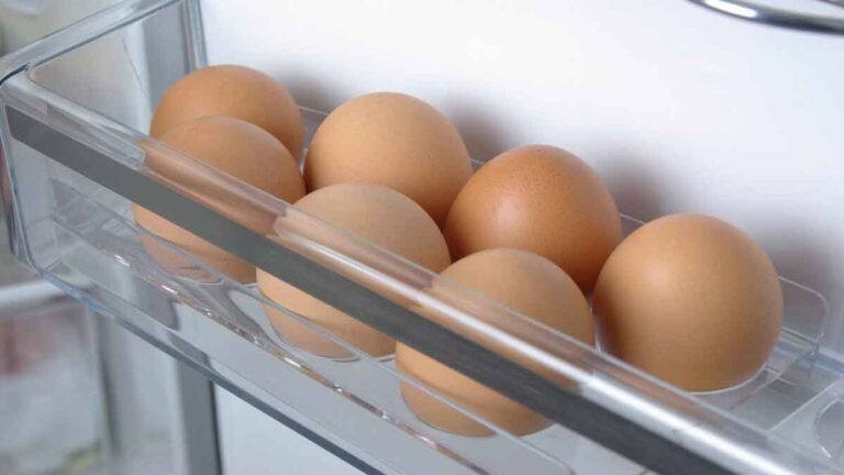 Berapa Lama Telur Bertahan di Dalam Freezer?