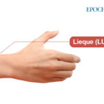 Liegue-3