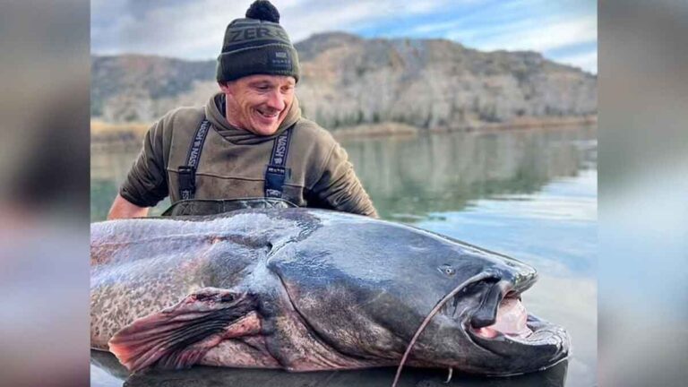 Pemancing Ini Berjibaku Melawan Ikan Lele Raksasa Sepanjang 3 Meter dan Berat 100 Kg  yang Sempat Menyeret Jauh Perahunya