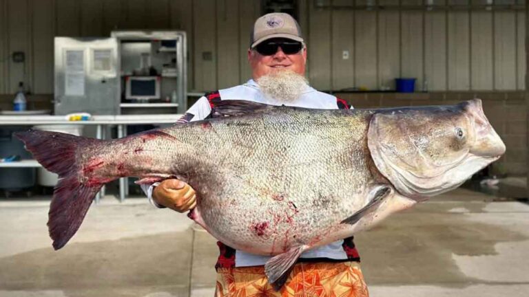 Pemancing Ini Berhasil Menangkap Ikan ‘Pengganggu’ Jumbo Seberat 53,5 Kg yang Memecahkan Rekor