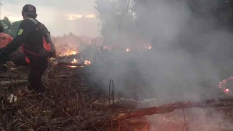 Kebakaran Hutan dan Lahan yang Hanguskan 8 Ha Lahan di Kota Palangkaraya Padam
