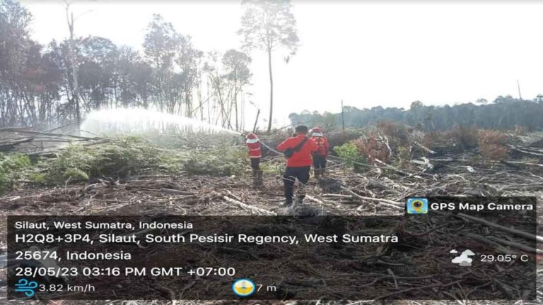 Karhutla di Pesisir Selatan, Sumbar Telah Menghanguskan 120 Hektar Lahan, Upaya Pemadaman Terus Dilakukan