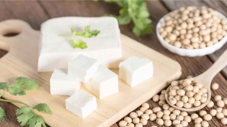 Studi : Mengonsumsi Lebih Banyak Tofu Dapat Mengurangi Risiko Kanker Perut