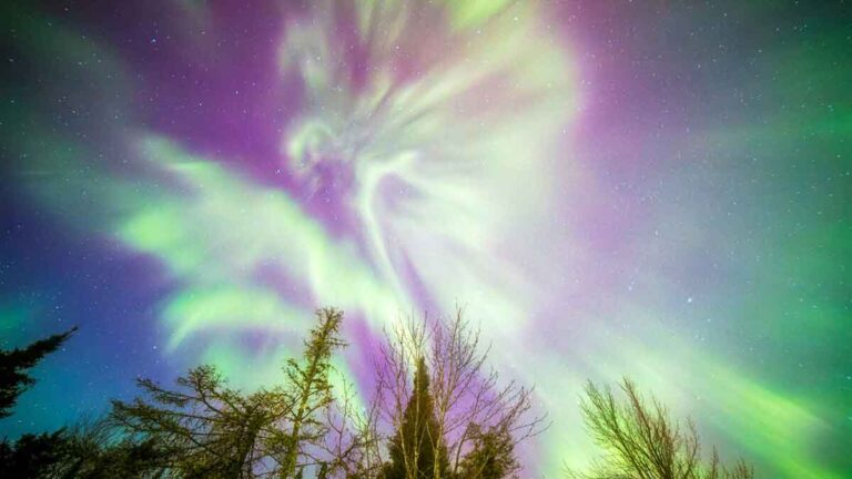 Foto Aurora “Malaikat di Langit” Saat Badai Matahari yang Luar Biasa di Minnesota Utara