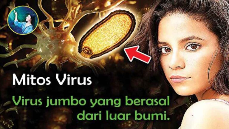 Mitos Tentang Virus Hingga Bagaimana Virus Menyerang Sel