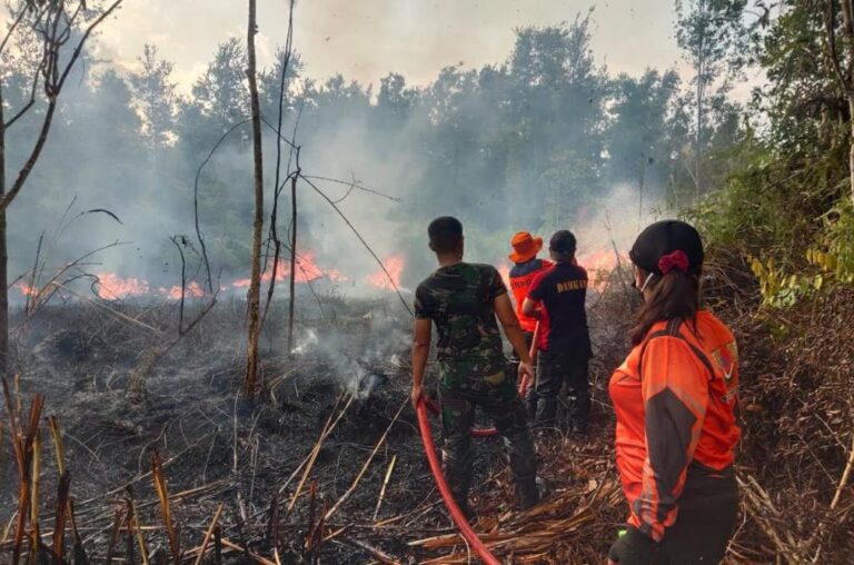 Petugas Gabungan Berhasil Padamkan 26 Hektar Lahan Terbakar di  Barito Selatan, Kalteng