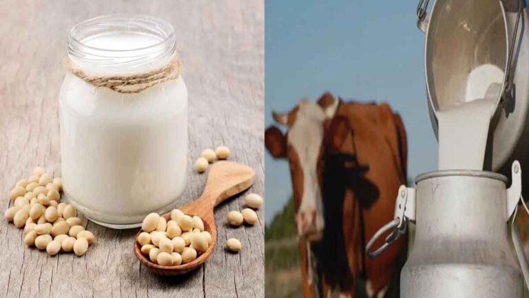 Susu Kedelai atau Susu Sapi, Mana yang Lebih Baik? Siapa Saja yang Cocok dan Tidak Boleh Minum Susu Kedelai?