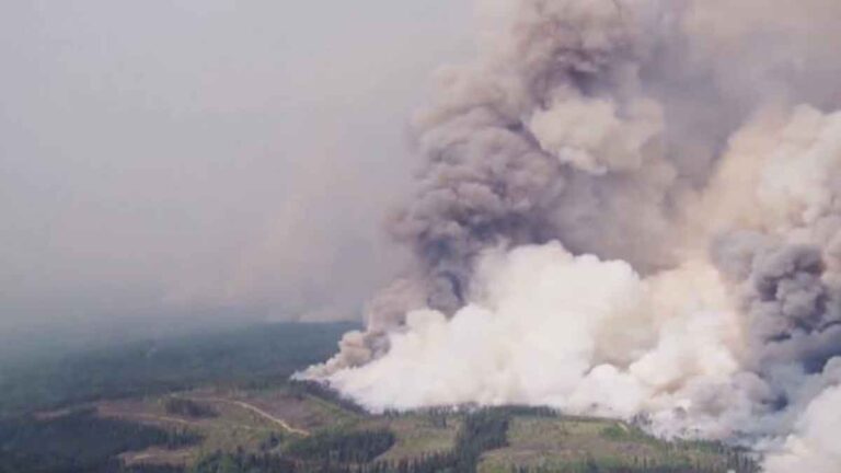 13 Negara Bagian AS Terkena Dampak Polusi Udara Kebakaran Hutan di Kanada