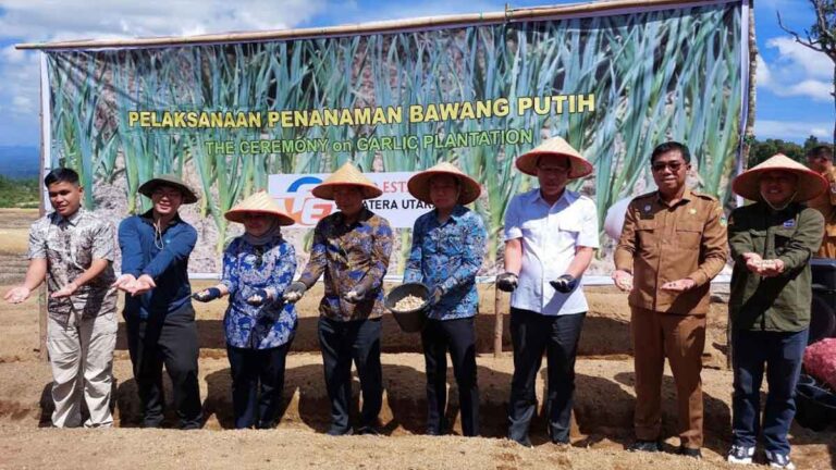 Debut Panen Perdana! Sumatera Utara akan Dikenal Sebagai Basis Produksi Pangan!