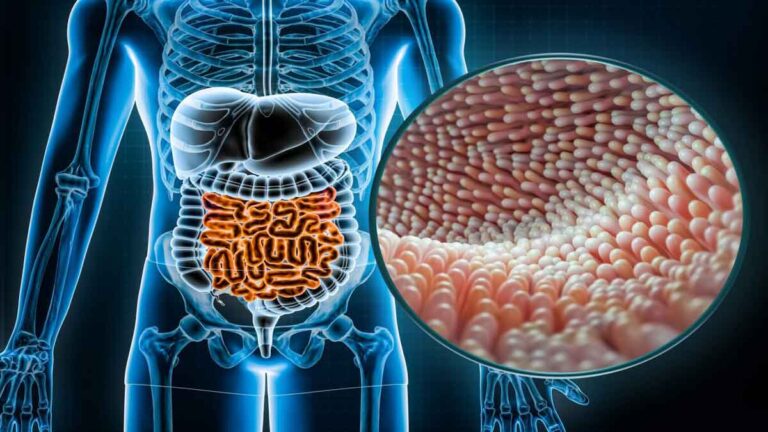 Mikrobioma Usus yang Membantu Anda Hidup Hingga 100 Tahun