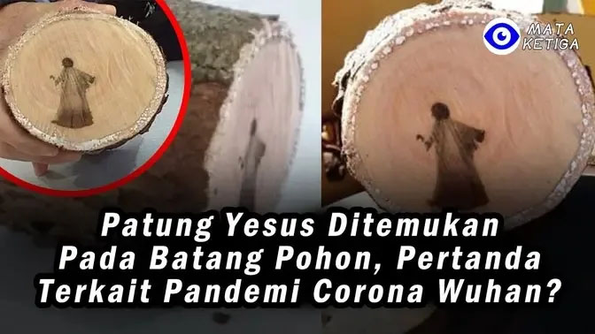 Patung Yesus Ditemukan di Batang Pohon, Pertanda Terkait Pandemi Corona Wuhan?