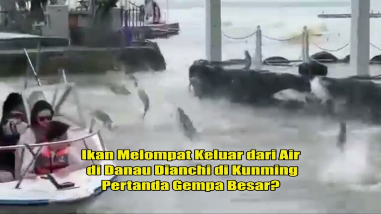 Pertanda Gempa Besar!!! Ikan Melompat Keluar dari Air di Danau Dianchi di Kunming