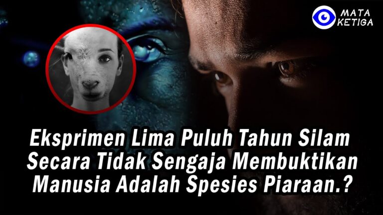 Eksprimen Lima Puluh Tahun Silam Secara Tidak Sengaja Membuktikan Manusia Adalah Spesies Piaraan…?